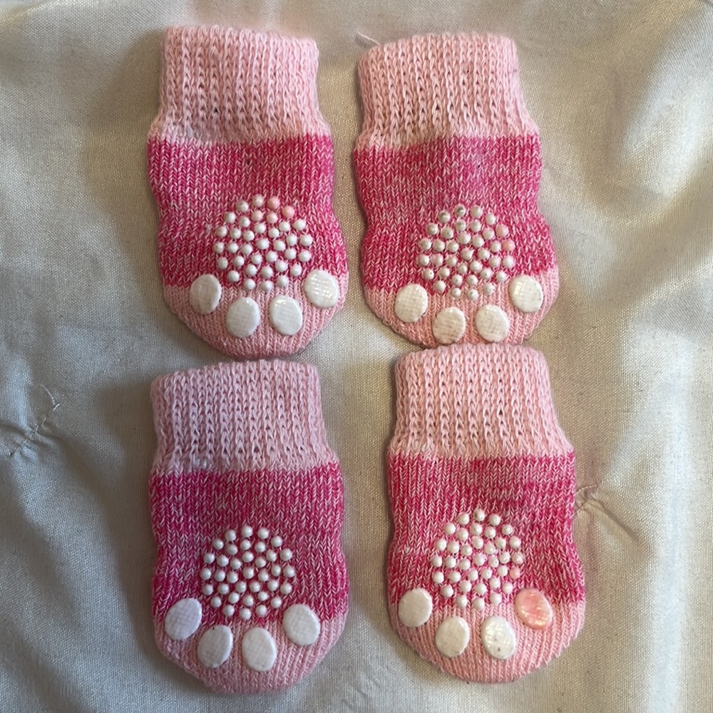 Dog socks 🆕 - Picture 4 of 4